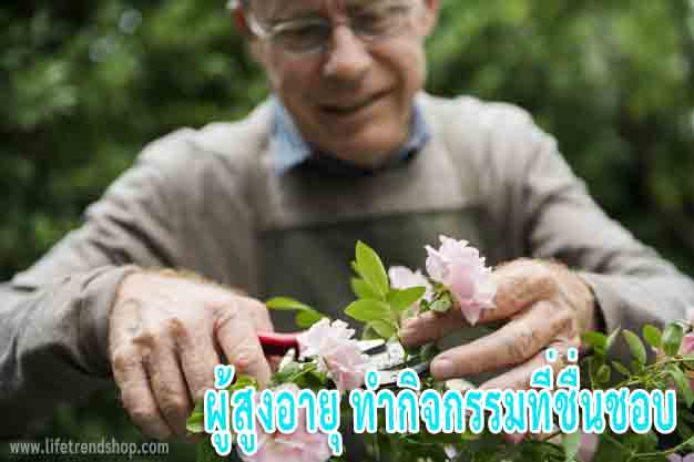 ผู้สูงอายุ ควรทำกิจกรรมที่ชอบ ป้องกัน เชื้อโควิด19